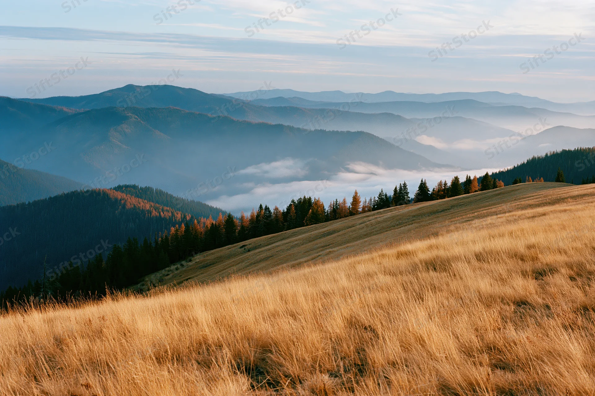 Rolling mountain landscape at sunrise with mist filling the valley and golden grass on the foreground slope