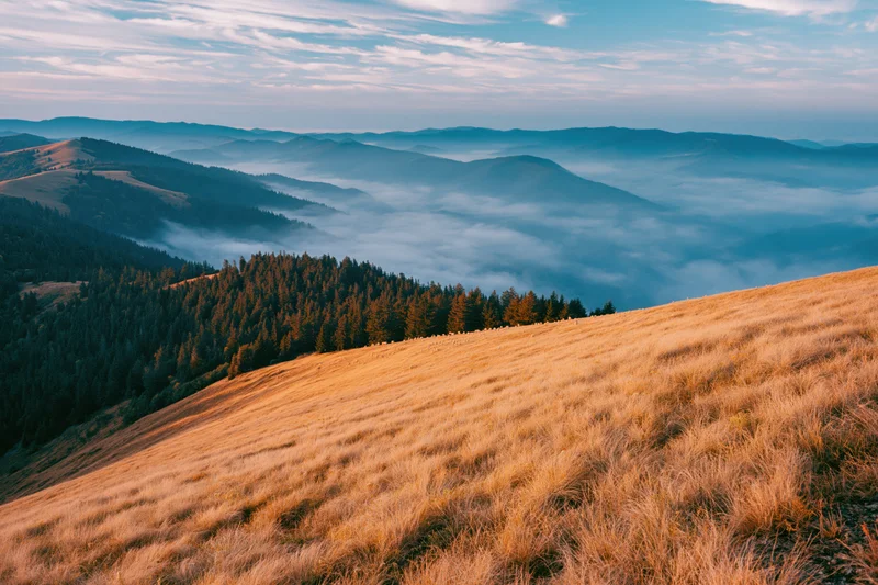 Rolling mountain landscape at sunrise with mist filling the valley and golden grass on the foreground hillside