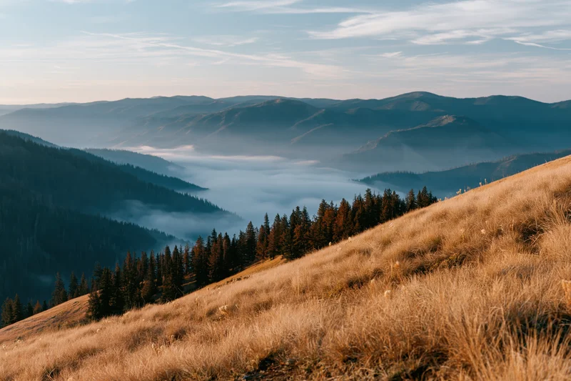 Rolling mountain landscape at sunrise with mist filling the valley and golden grass on the slope