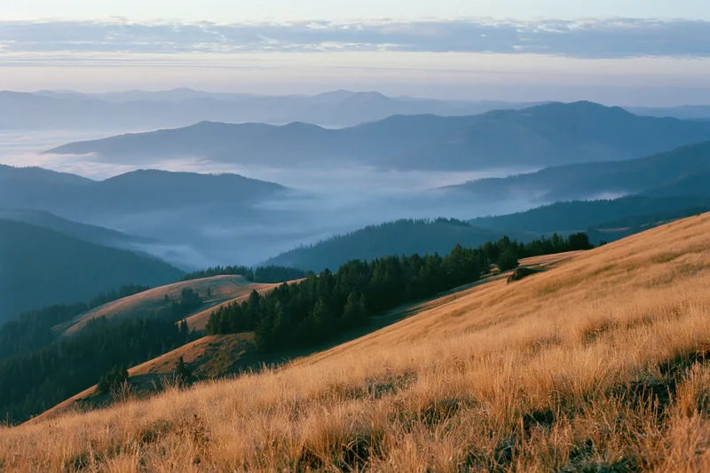 Rolling mountain landscape at sunrise with mist filling valleys and golden grass on slopes