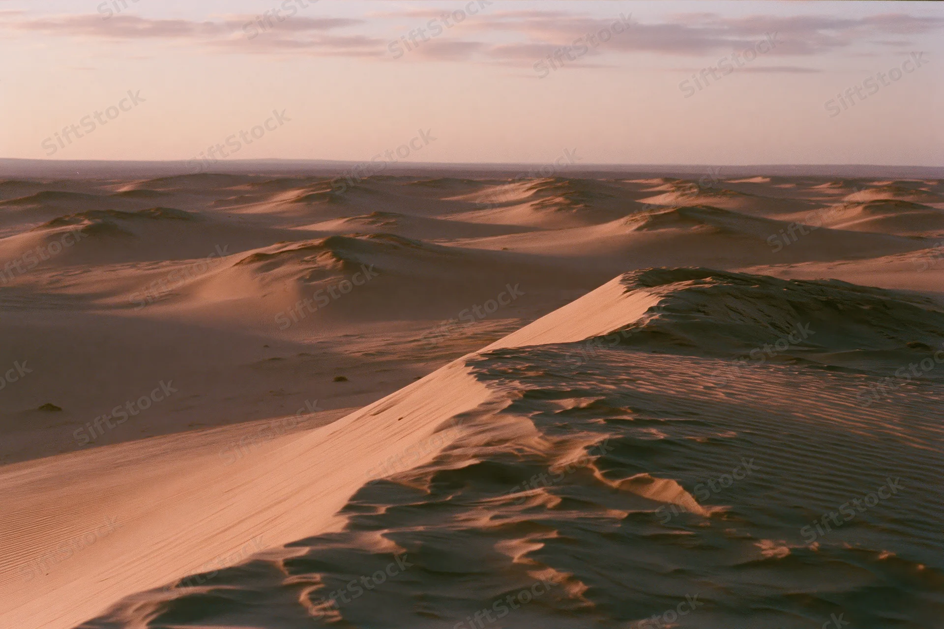 Rolling sand dunes stretching into the horizon in a wide desert landscape at sunset