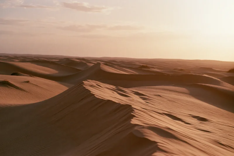 Rolling sand dunes stretching into the horizon in a vast desert landscape at sunset