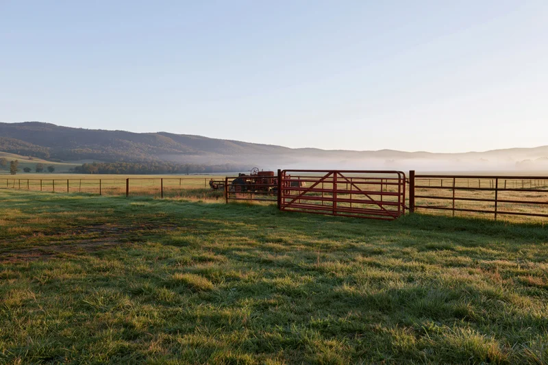Open green pasture bordered by red metal gate and fence with tractor in background at sunrise