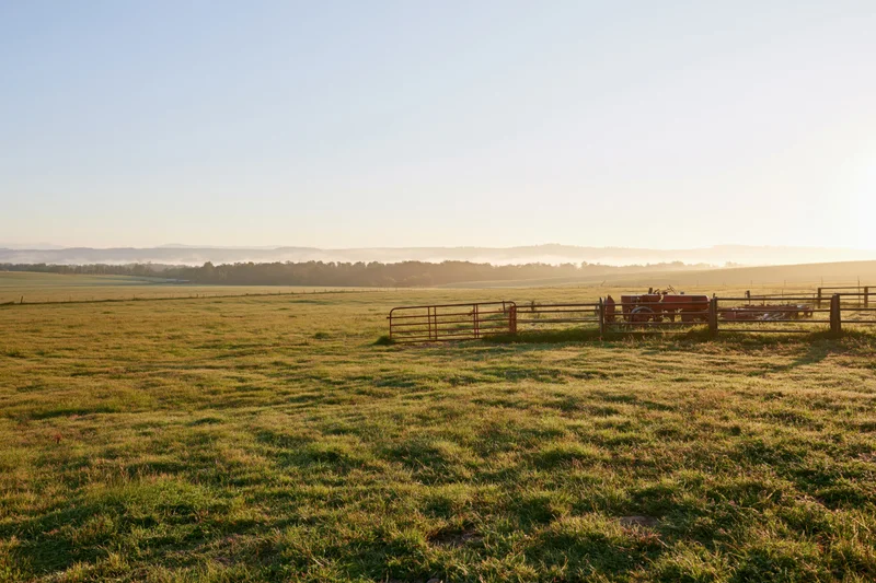 Open green pasture bordered by a metal gate and wooden fence with a red tractor at sunrise in a rural farm landscape