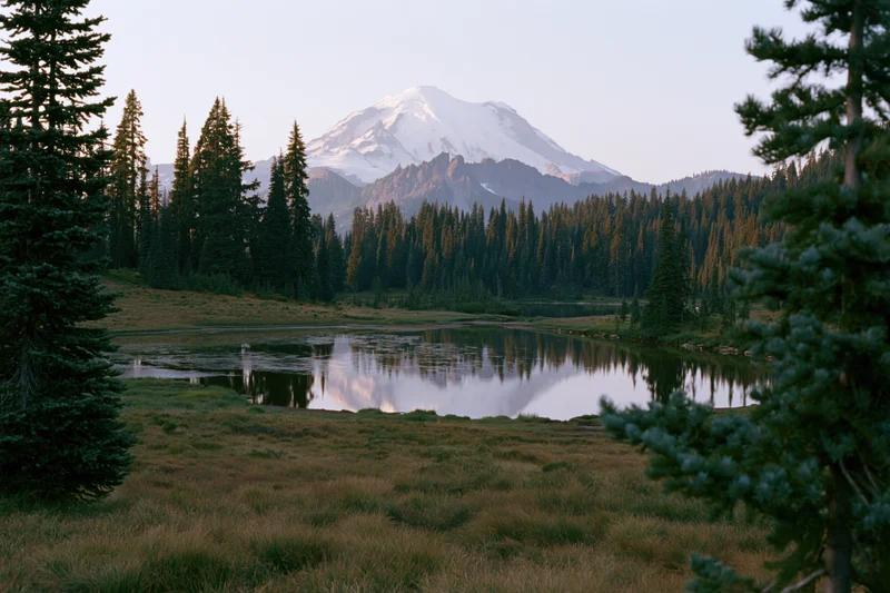 Snow-capped volcanic peak reflected in calm alpine lake surrounded by evergreen forest and meadow