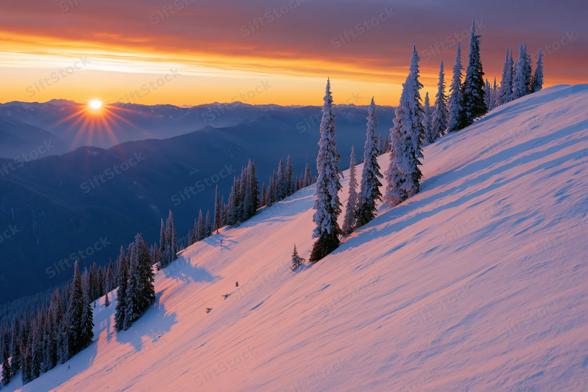 Snow-covered alpine hillside at sunrise with frost-laden evergreen trees lining the slope
