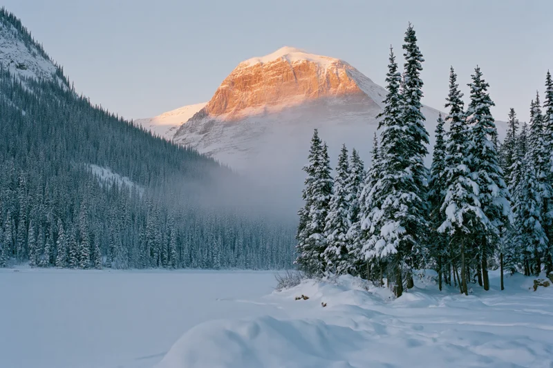 Snow-covered alpine lake surrounded by tall spruce trees with a mountain peak in the background during sunrise