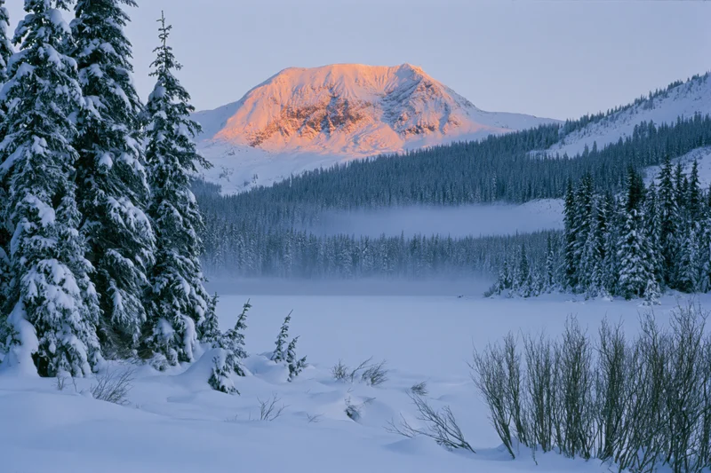 Snow-covered alpine lake surrounded by tall spruce trees at sunrise with mountain peak glowing in alpenglow