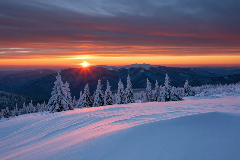 Snow-covered alpine meadow with frost-laden spruce trees at sunrise over mountain range