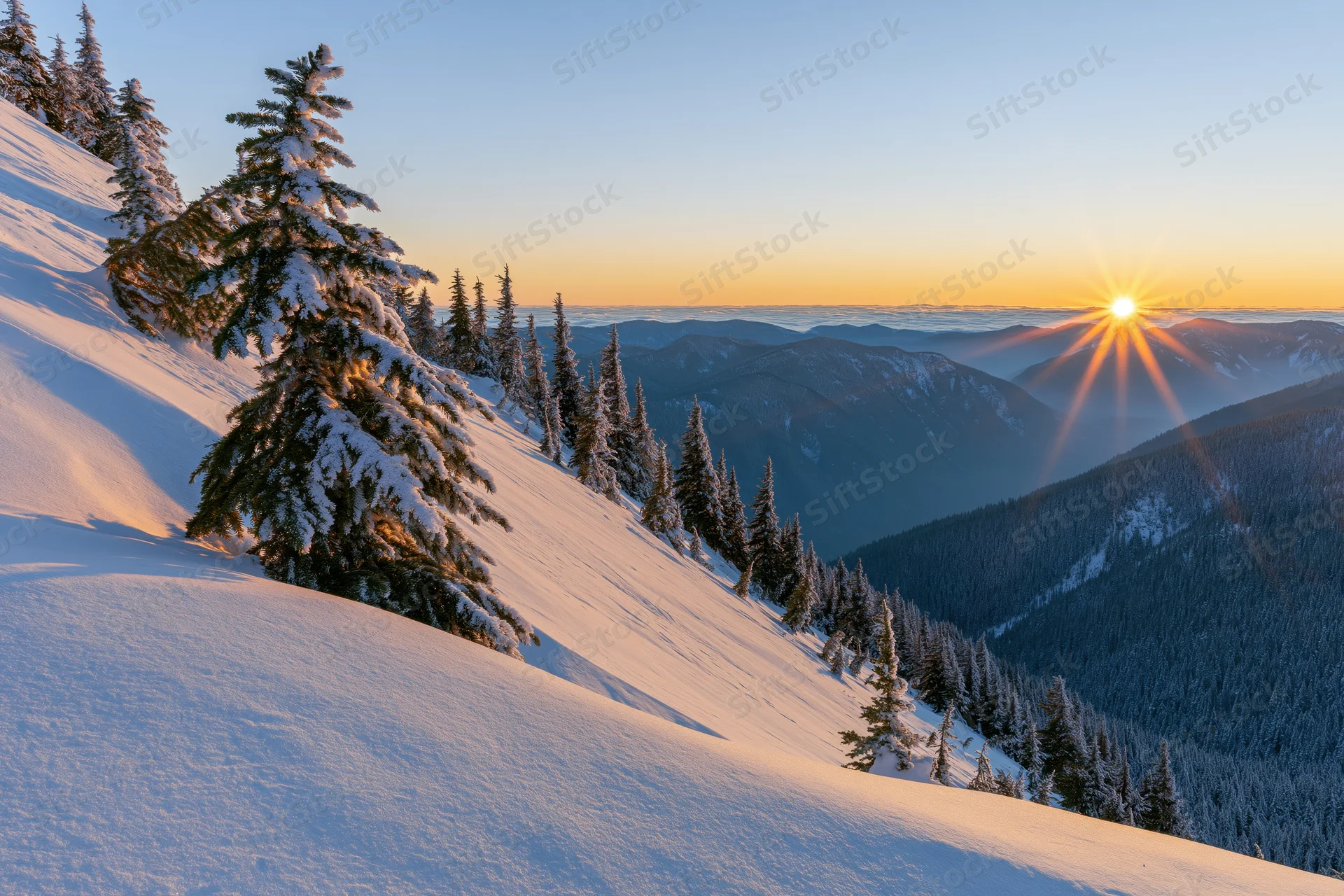 Snow-covered alpine slope with frost-laden spruce trees at sunrise