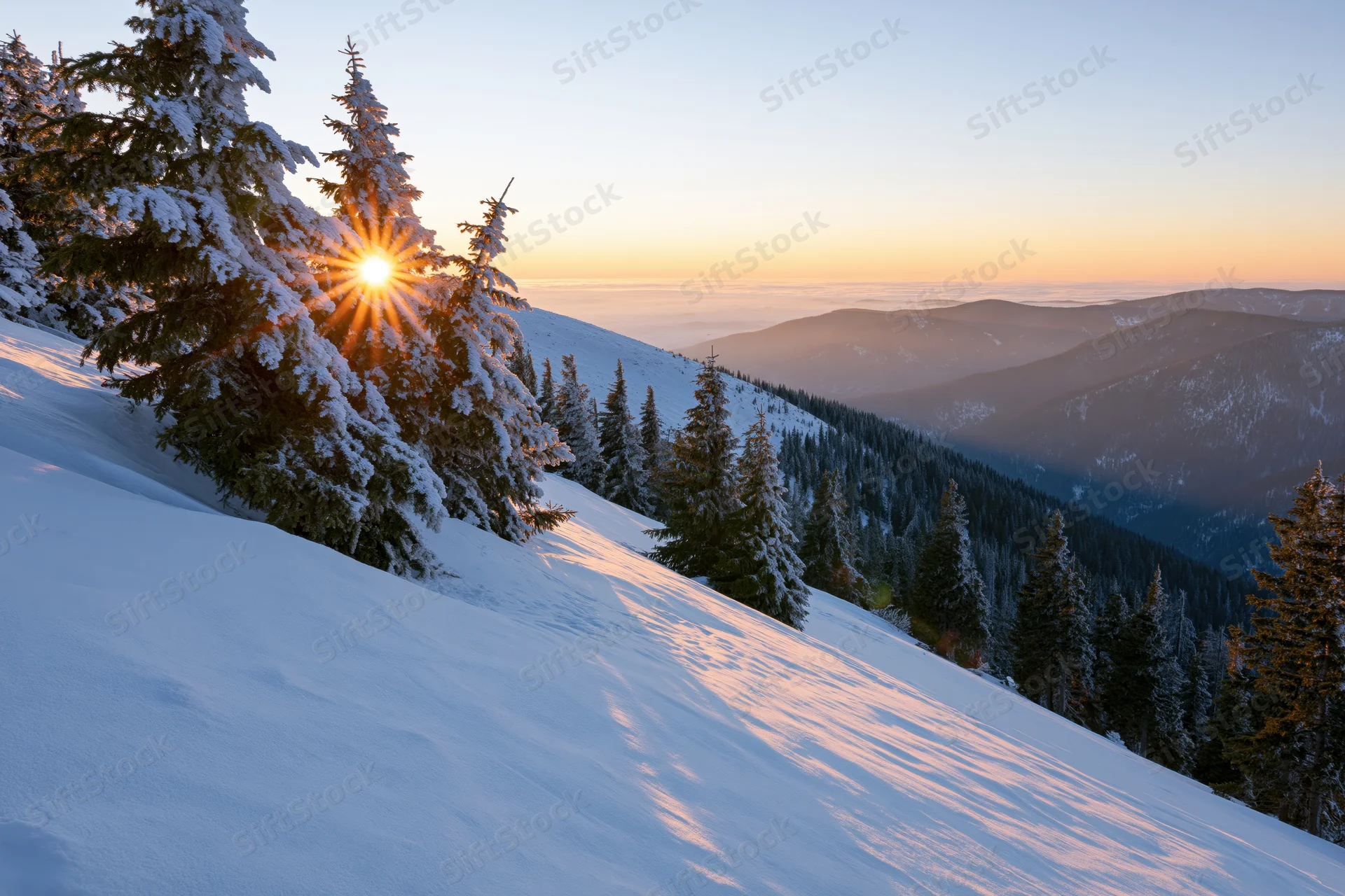 Snow-covered alpine slope at sunrise with frost-laden spruce trees lining the ridge