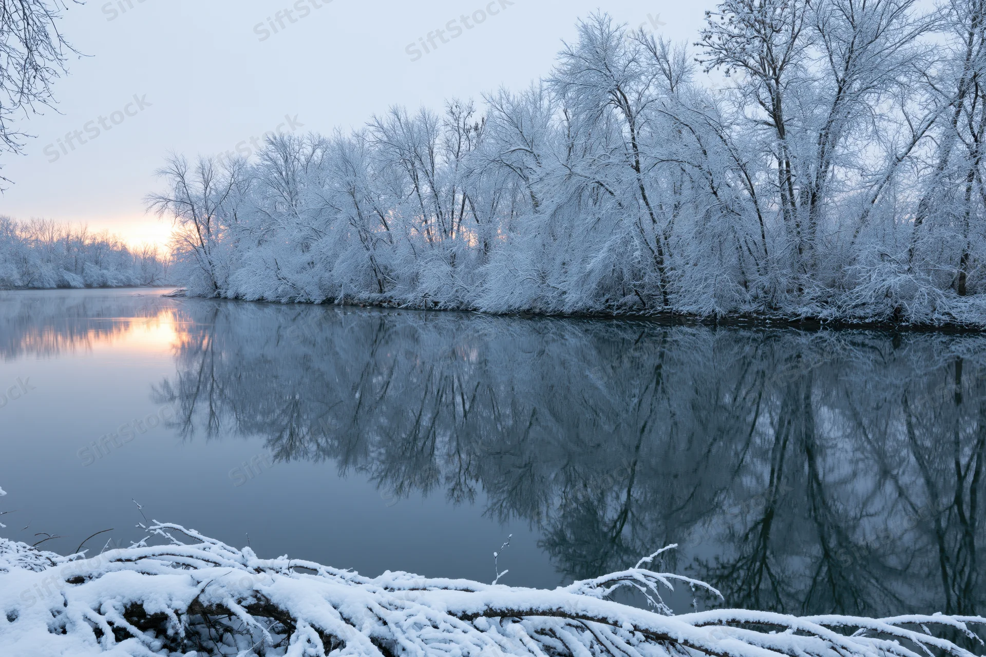 Snow-covered trees lining a still river reflecting the sunrise sky