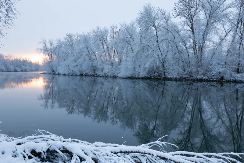 Snow-covered trees lining a still river reflecting the sunrise sky