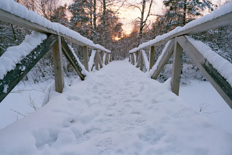 Snow-covered wooden footbridge leading into a dense winter forest at twilight