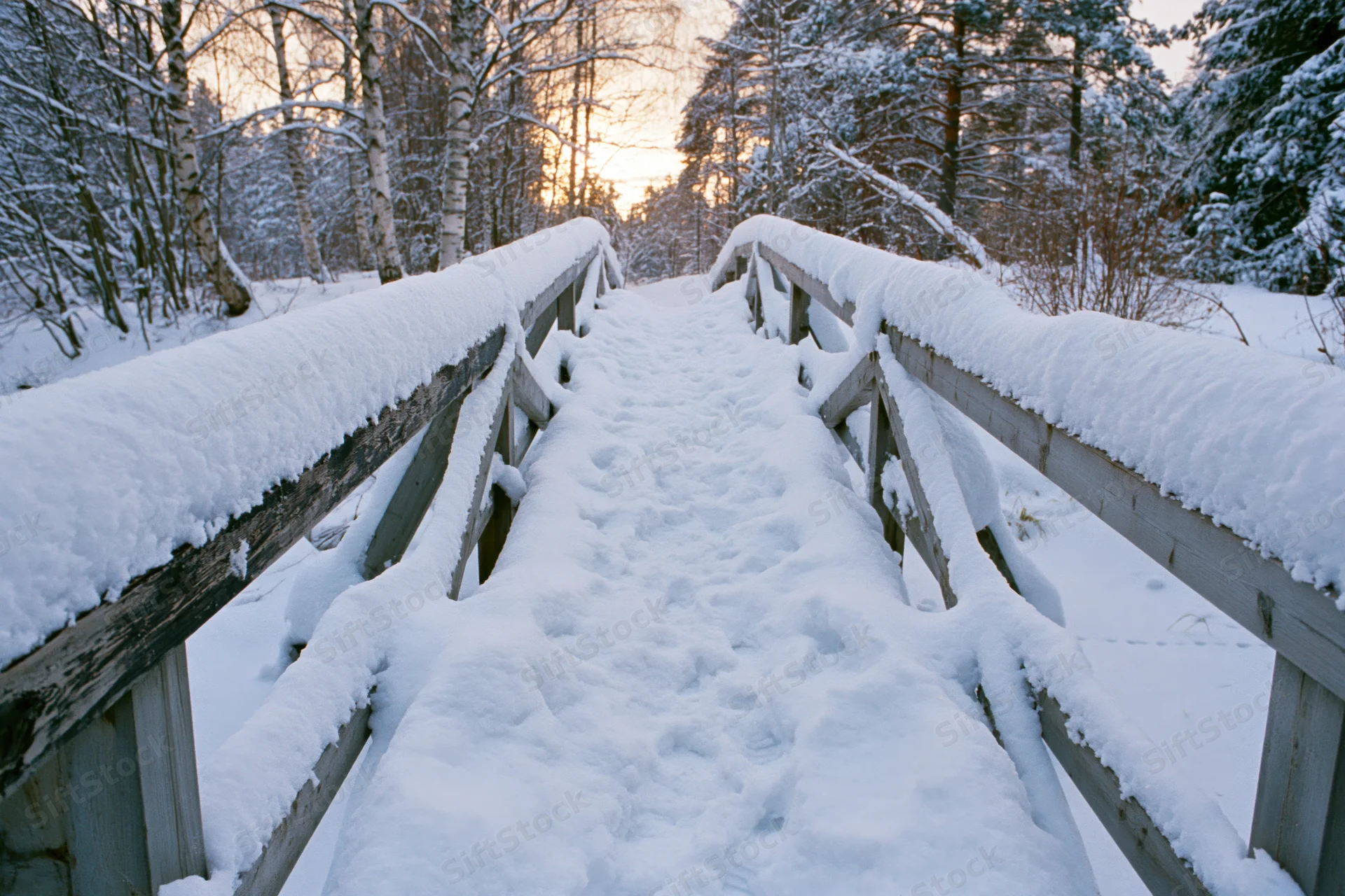 Snow-covered wooden footbridge leading through a winter forest at dusk