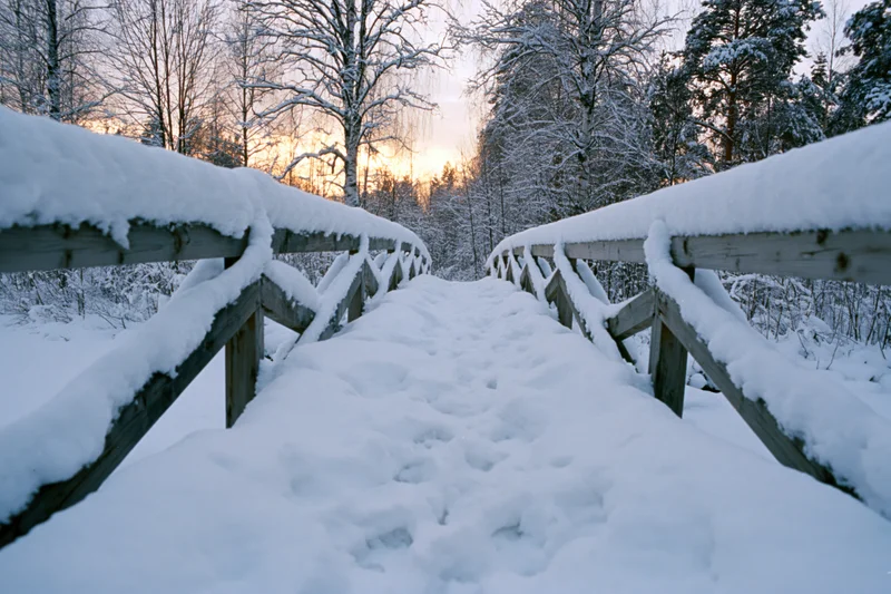 Snow-covered wooden footbridge leading into a dense winter forest at sunset