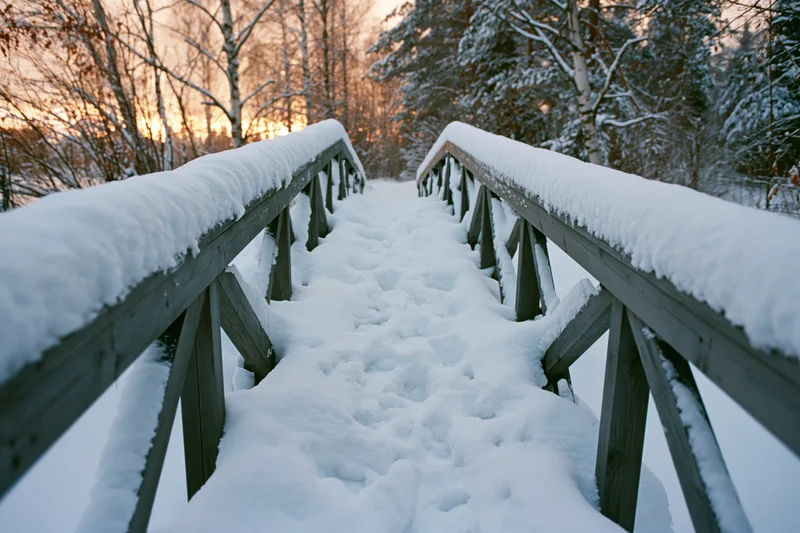 Snow-covered wooden footbridge leading into a winter forest at twilight