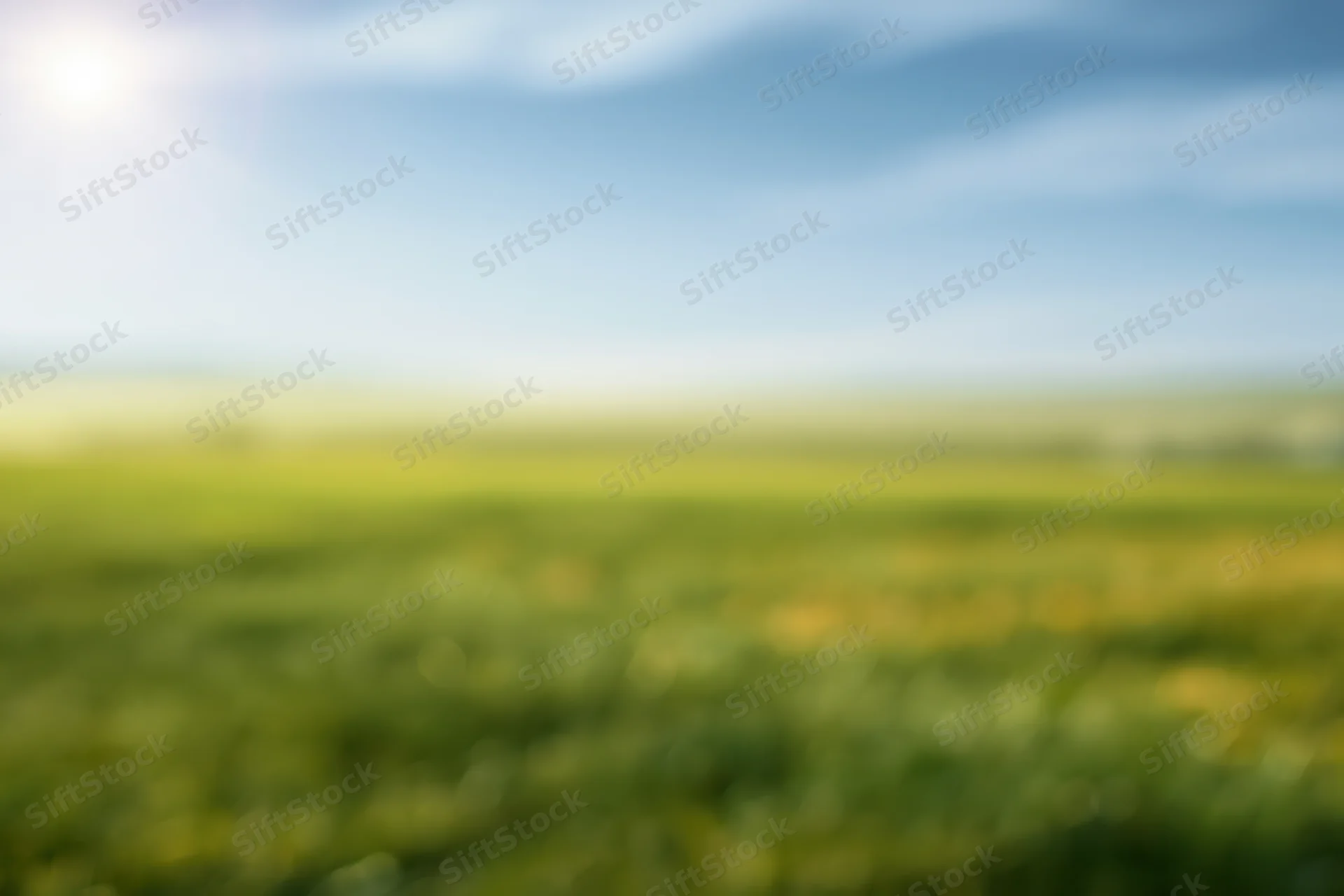 Soft blurred meadow under open sky with bokeh effect and copyspace