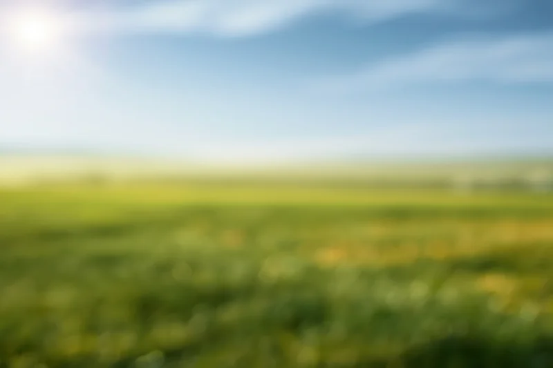 Soft blurred meadow under open sky with bokeh effect and copyspace