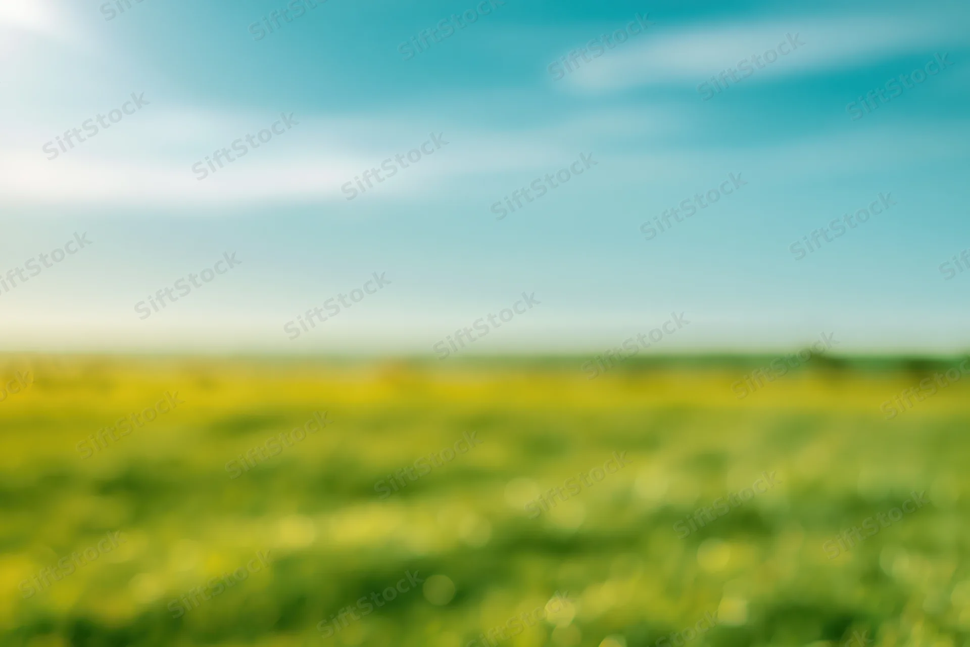 Soft blurred meadow with open sky and green-yellow field under blue sky