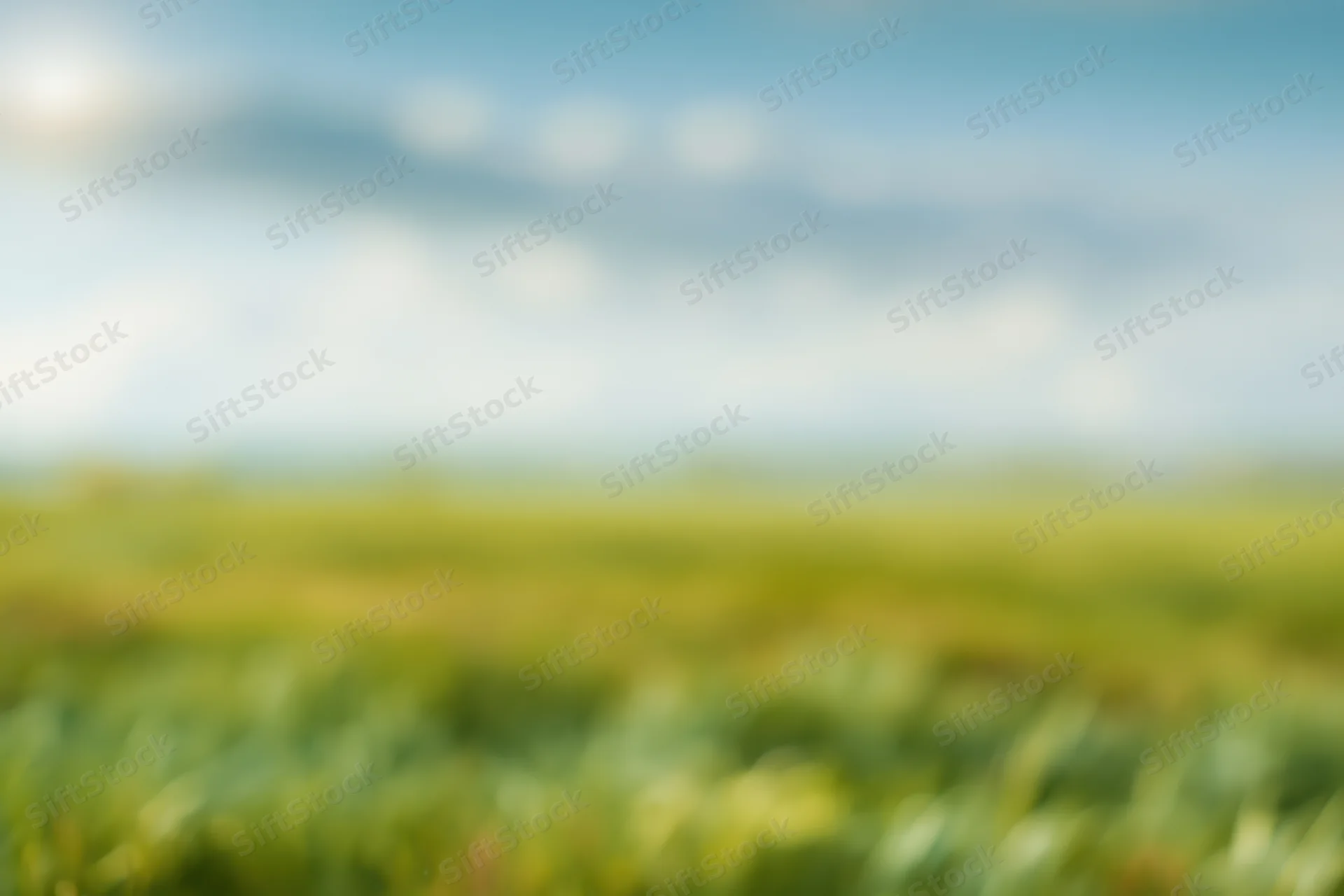 Soft blurred meadow under open sky with scattered clouds and green grass stretching to horizon