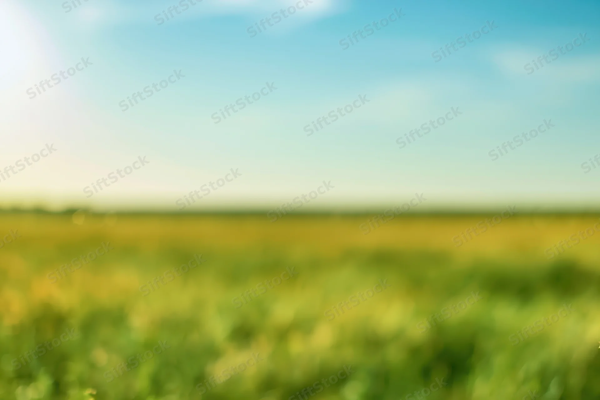 Soft out-of-focus meadow under open sky with blurred green and yellow vegetation and blue sky gradient