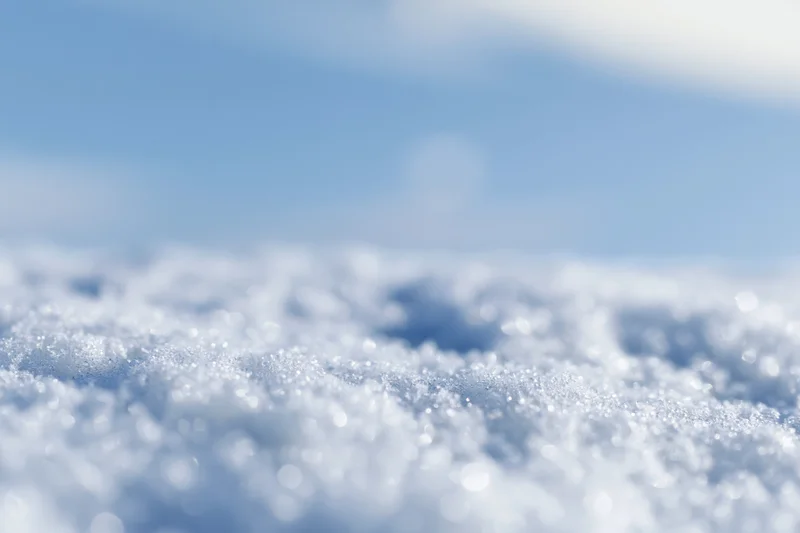Snow-covered ground with soft bokeh and shallow depth of field under winter daylight