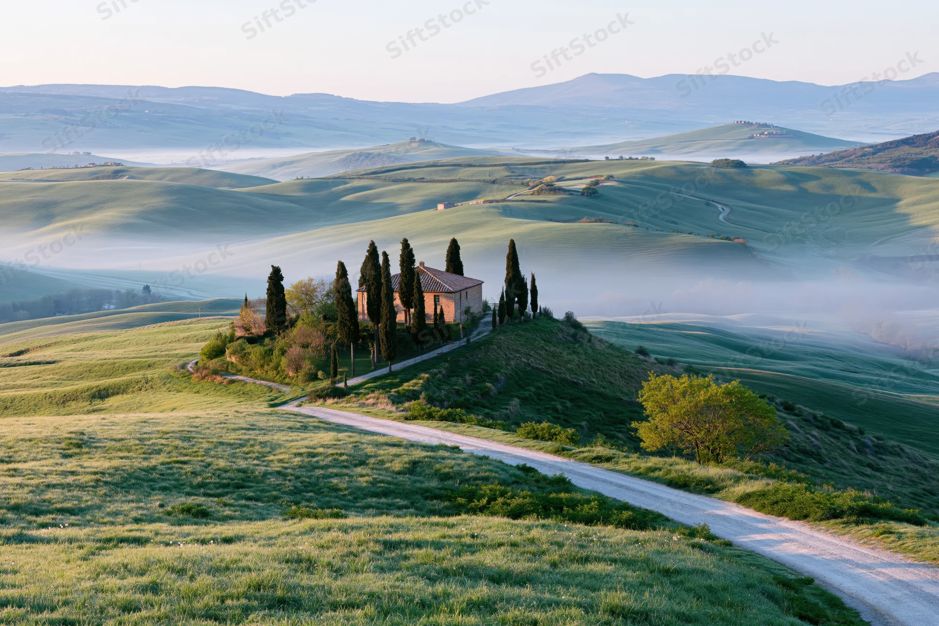 Stone farmhouse surrounded by tall cypress trees on a grassy hill in the misty morning countryside