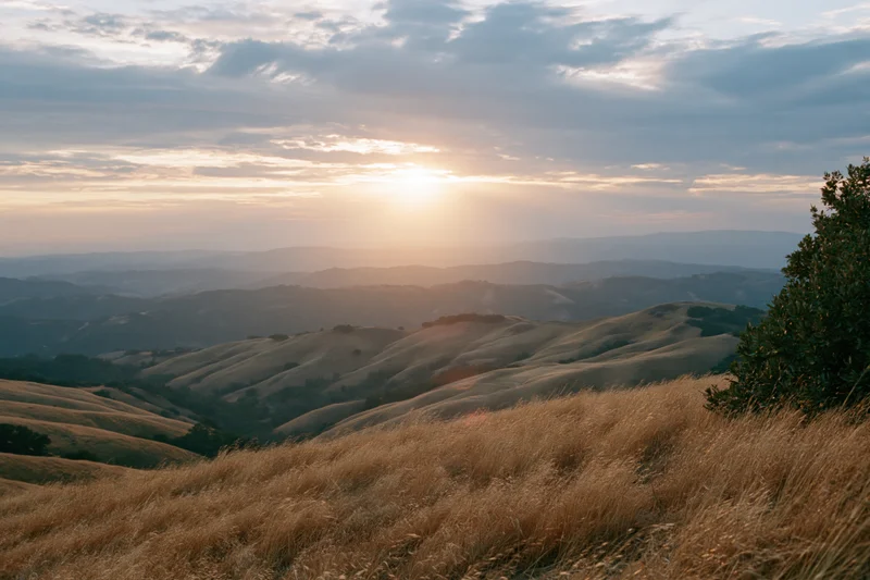 Golden light over rolling hills in california at sunset