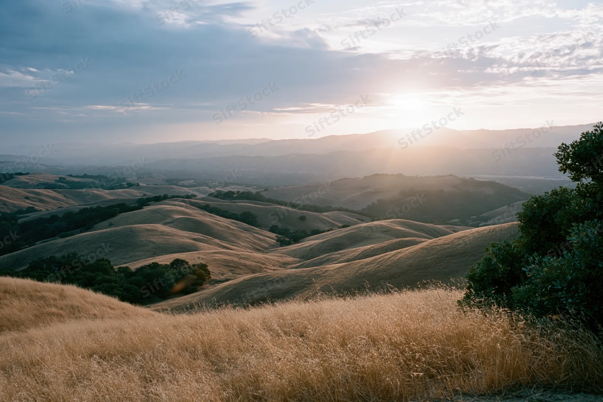 Rolling golden hills under a setting sun in california countryside