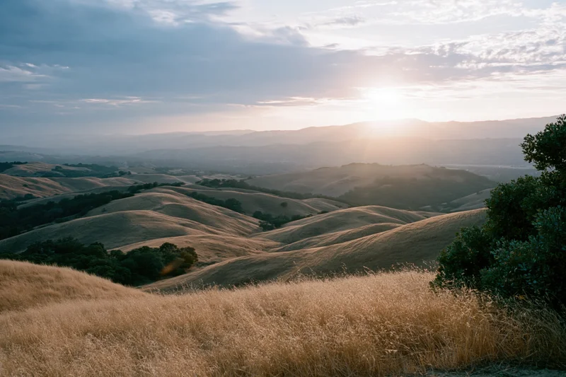 Rolling golden hills under a setting sun in california countryside