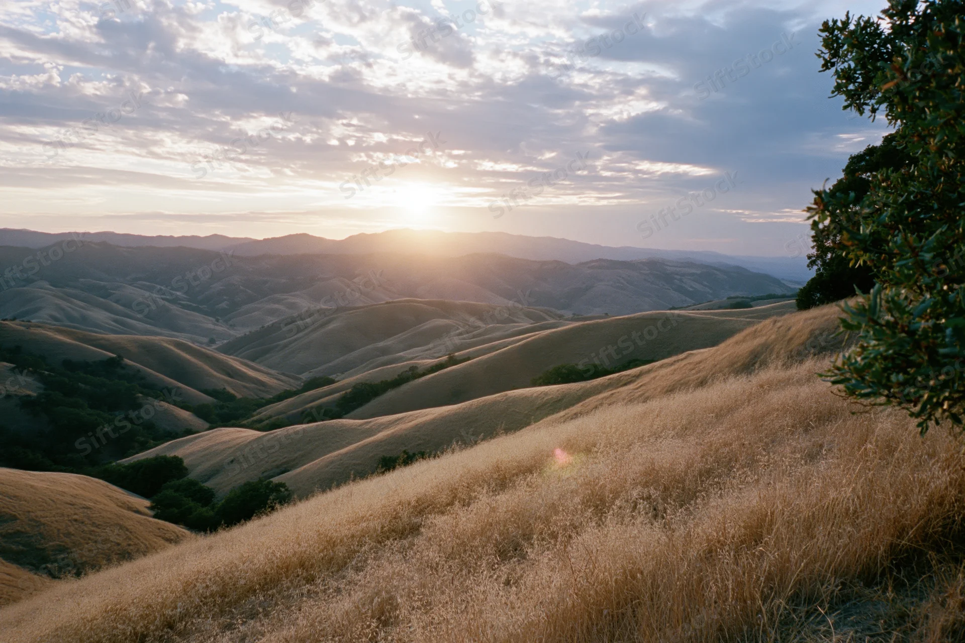 Golden hour sunlight over rolling hills in california countryside