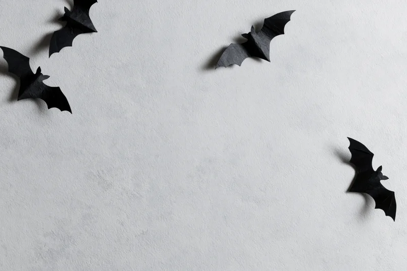 Black paper bat cutouts arranged in flying poses scattered across a white wall