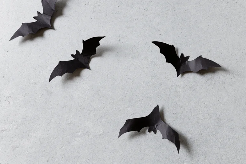 Black paper bat cutouts arranged in flying poses scattered across a white textured wall