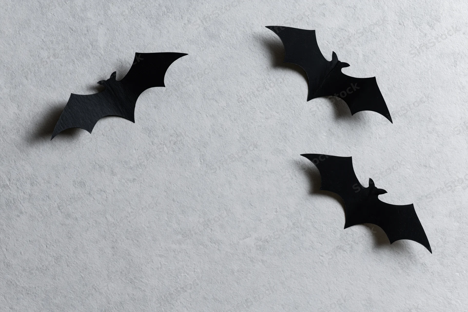 Three black paper bat cutouts arranged in flying poses on a textured white wall