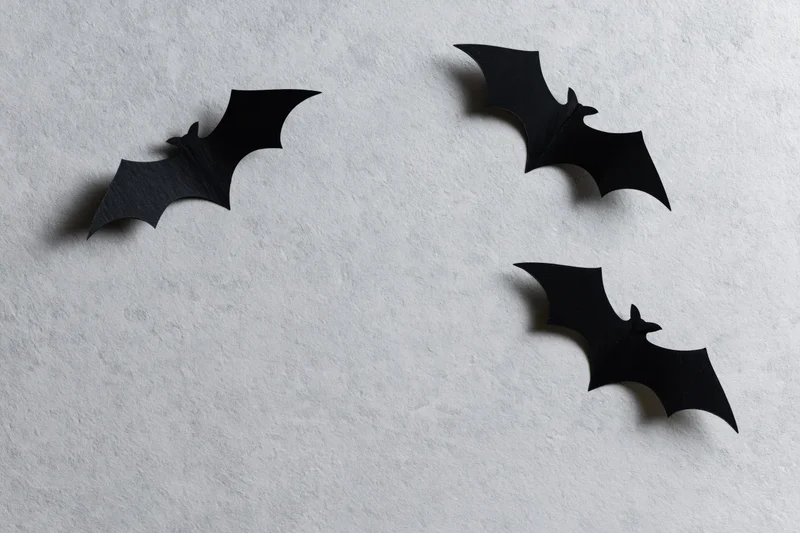 Three black paper bat cutouts arranged in flying poses on a textured white wall