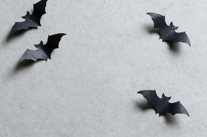 Black paper bat cutouts arranged in flying poses on a textured gray wall