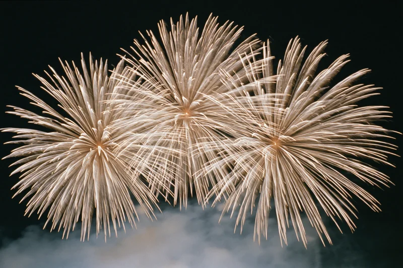 Three large fireworks bursting simultaneously across the night sky