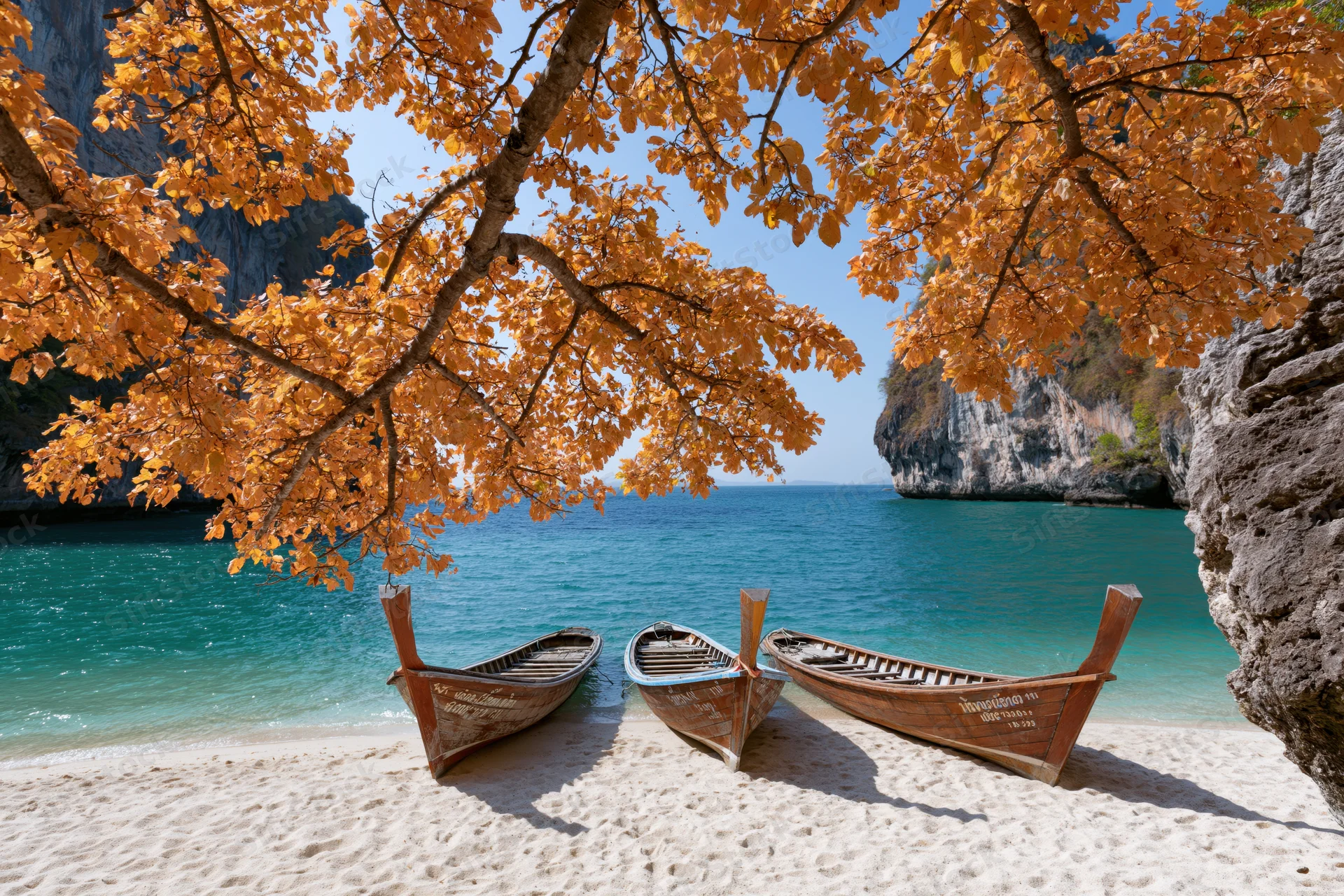 Three wooden longtail boats moored on a white sand beach under orange autumn foliage near turquoise sea and limestone cliffs
