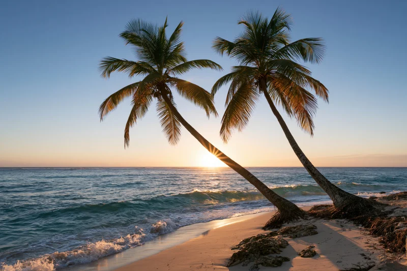 Two coconut palm trees leaning over a tropical beach at sunset
