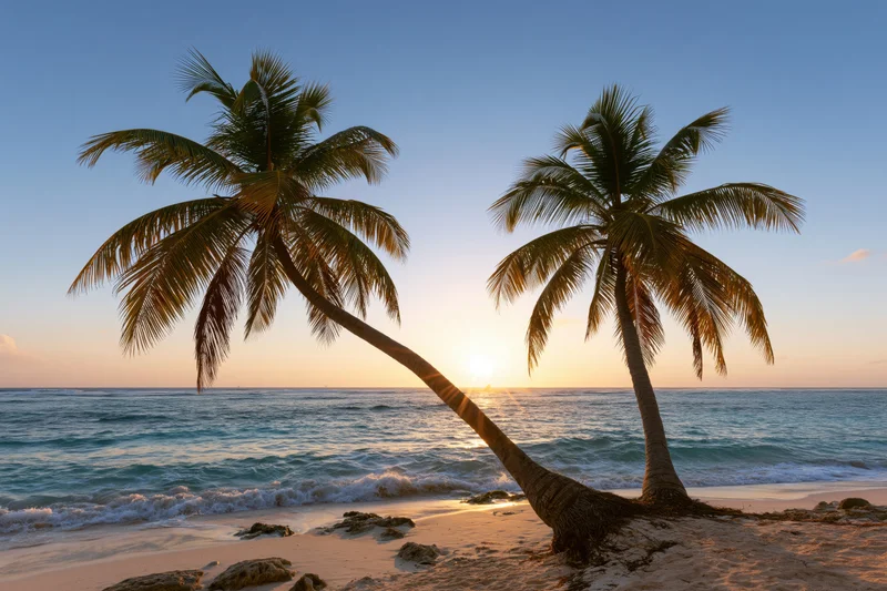 Two coconut palm trees leaning over a tropical beach at sunset