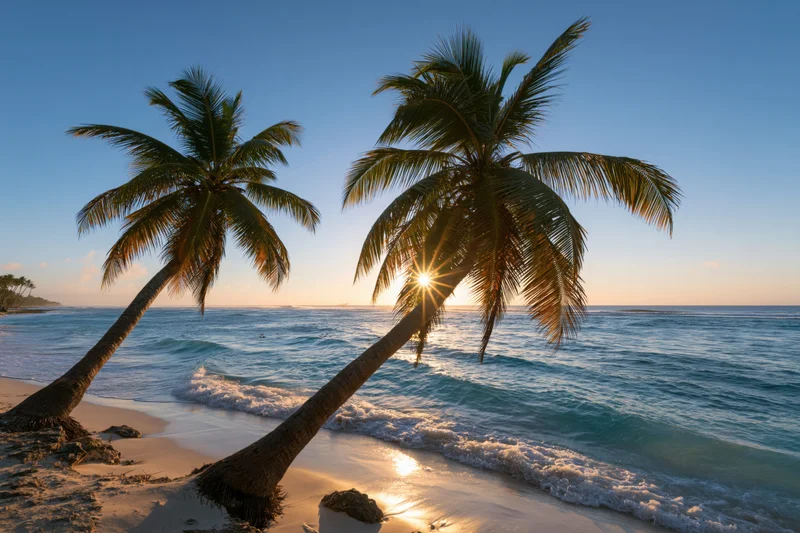 Two coconut palm trees leaning over a tropical beach at sunset