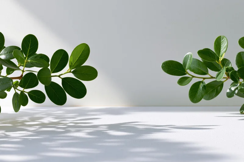 Two green plant branches with glossy oval leaves framing a white surface with shadows from sunlight