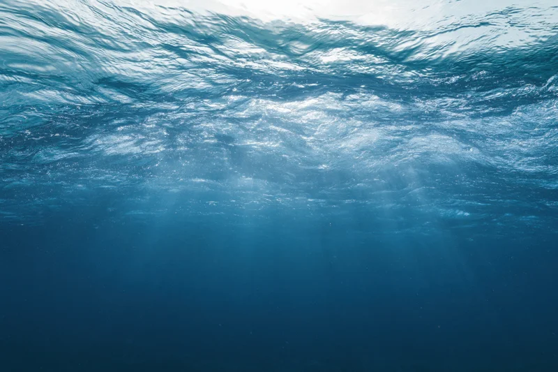 Underwater view looking up through rippling ocean surface toward sunlight