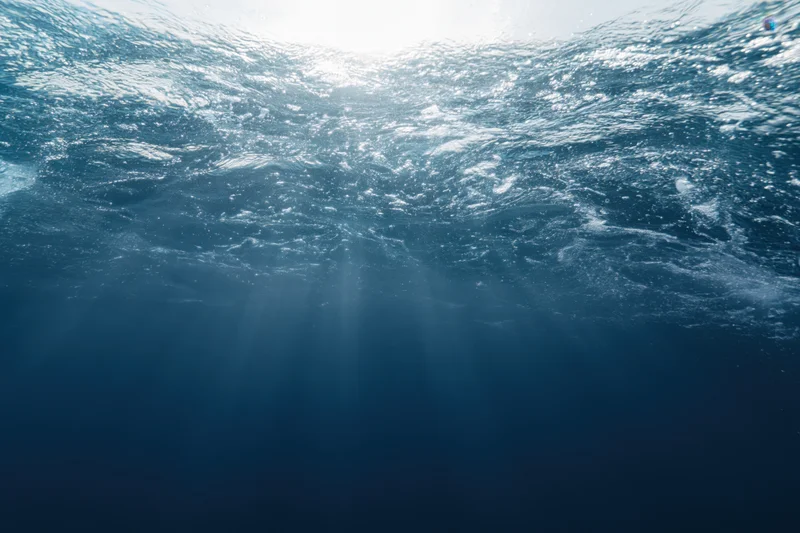 Underwater view looking up at ocean surface with sunlight rays piercing through water