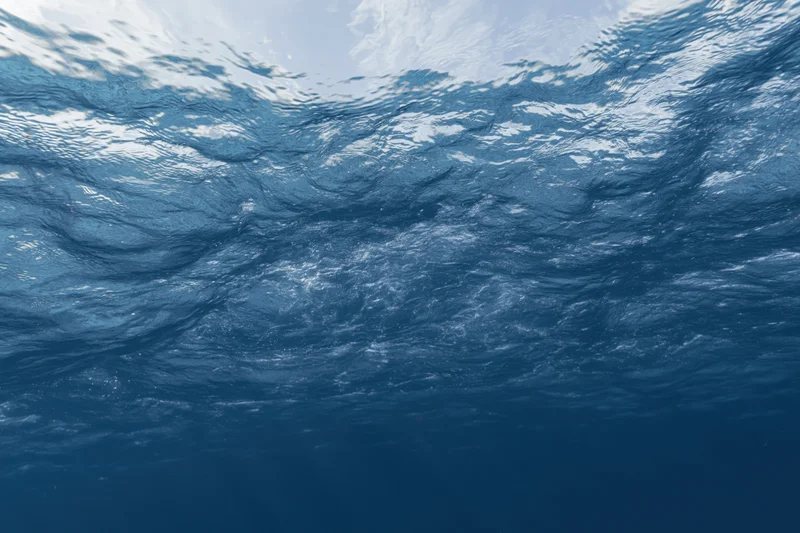 Underwater view looking up at rippling ocean surface with sunlight filtering through
