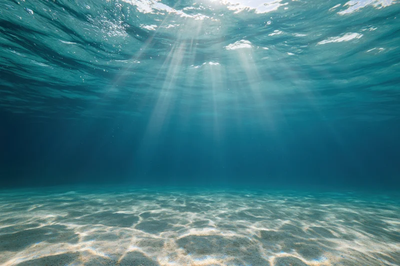 Sunlight rays penetrating ocean surface above sandy seabed