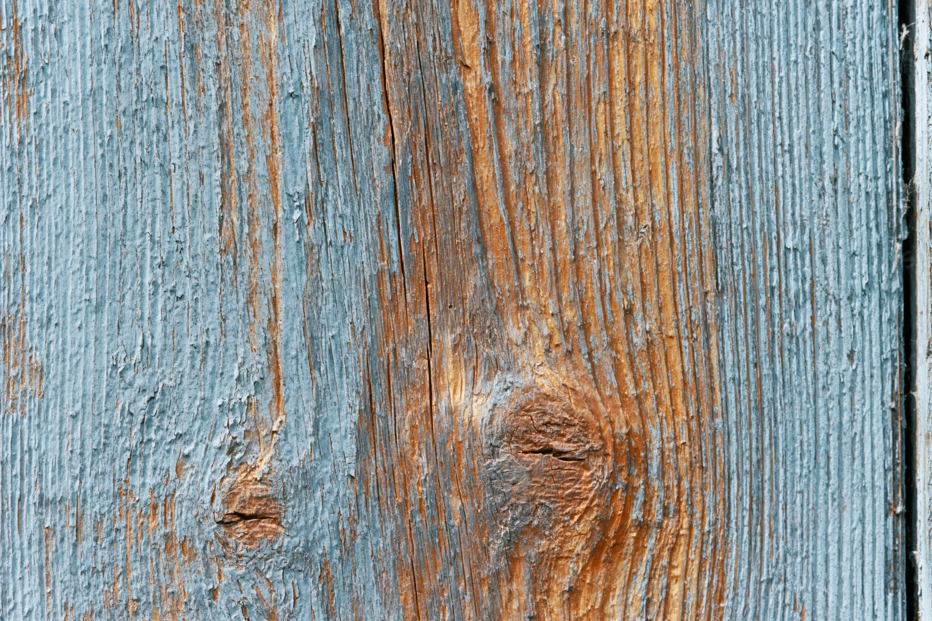 Weathered wooden plank surface filling the frame with visible grain and knots