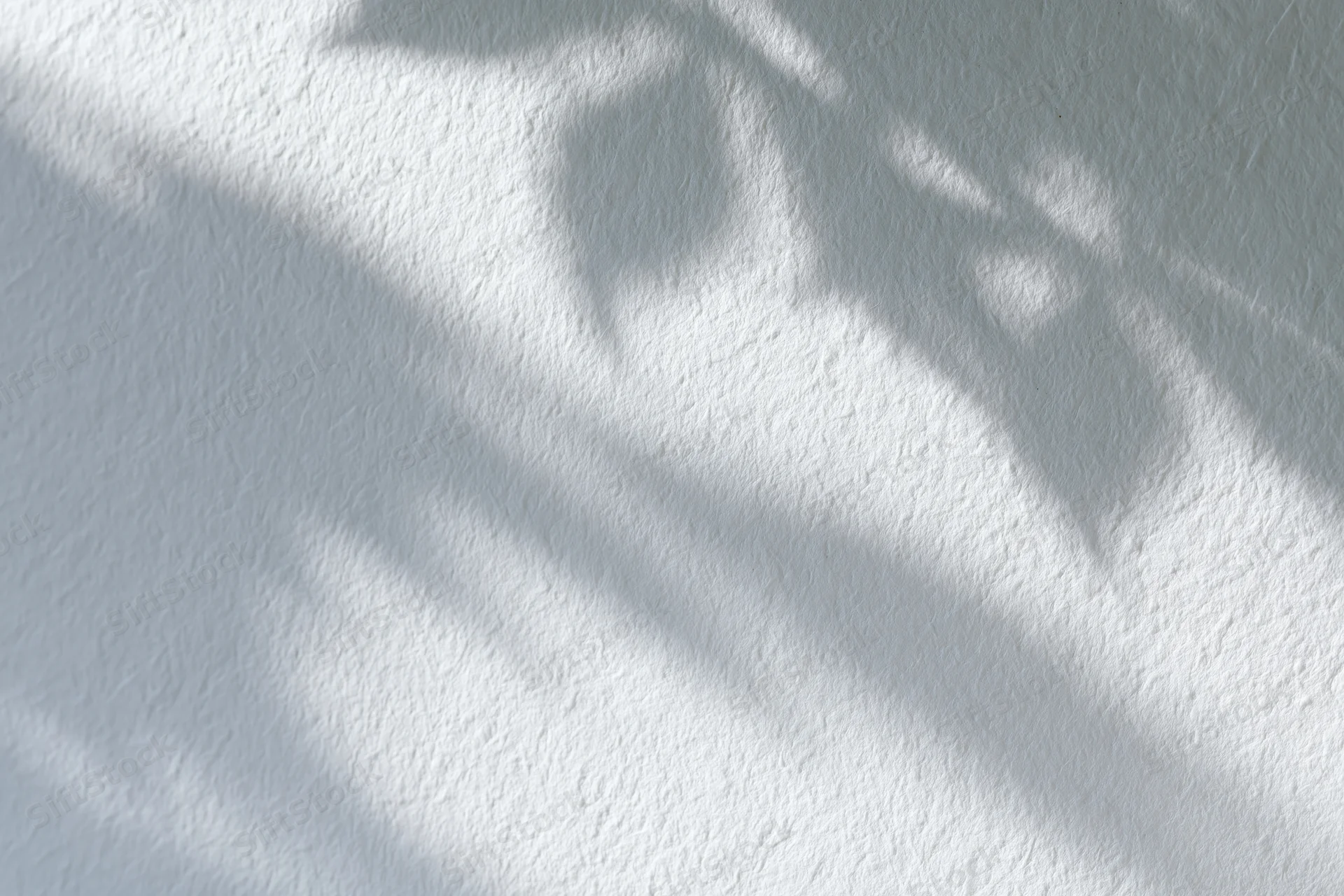 Dappled leaf shadows on a white textured wall surface in natural sunlight