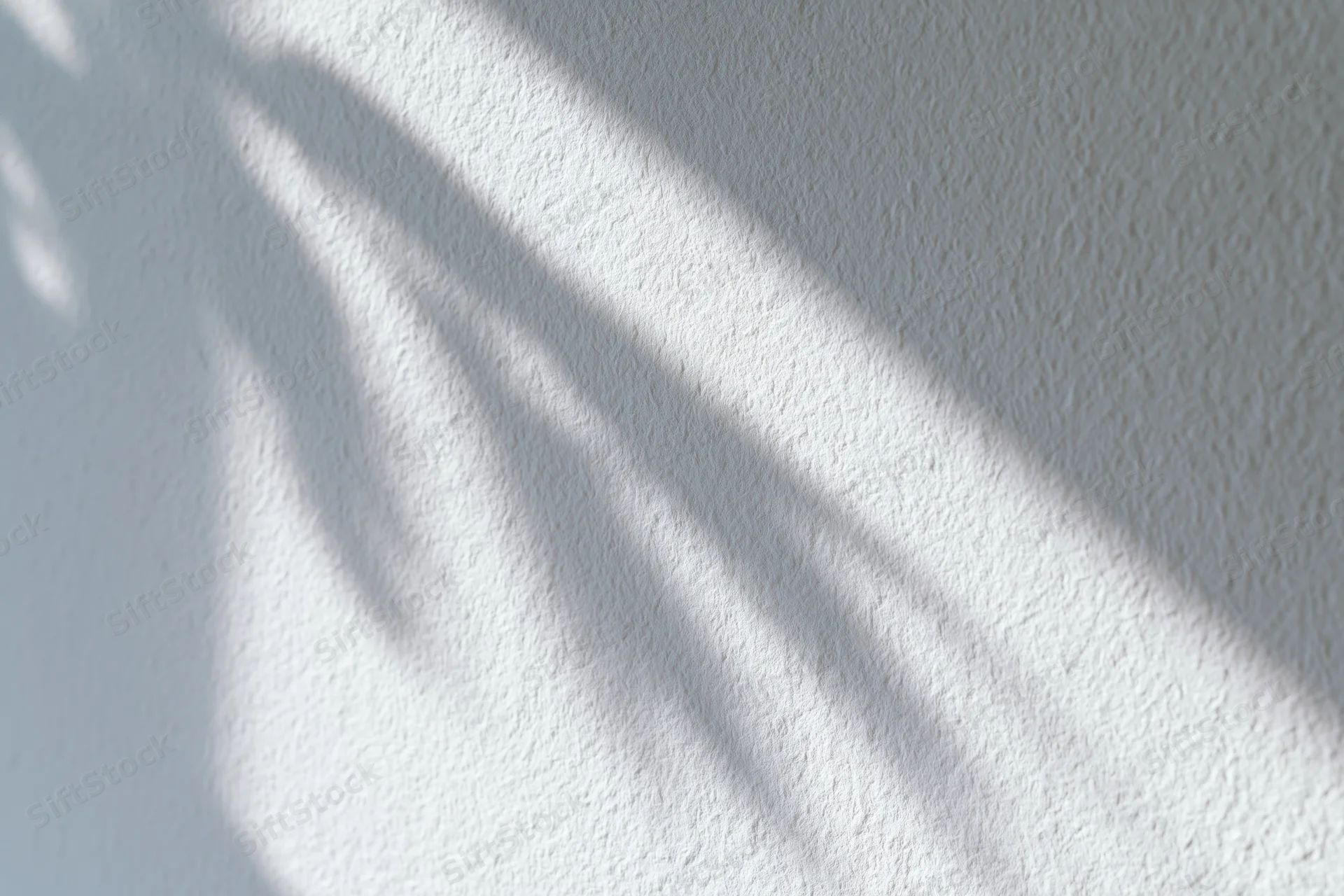 White textured wall with soft dappled leaf shadows from sunlight